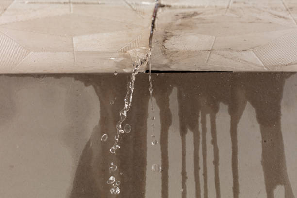 Professional Structural Drying technician working in Dunkirk, OH